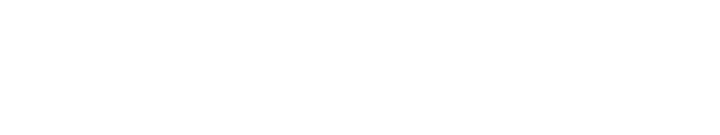 Turbo Diesel Services Logo